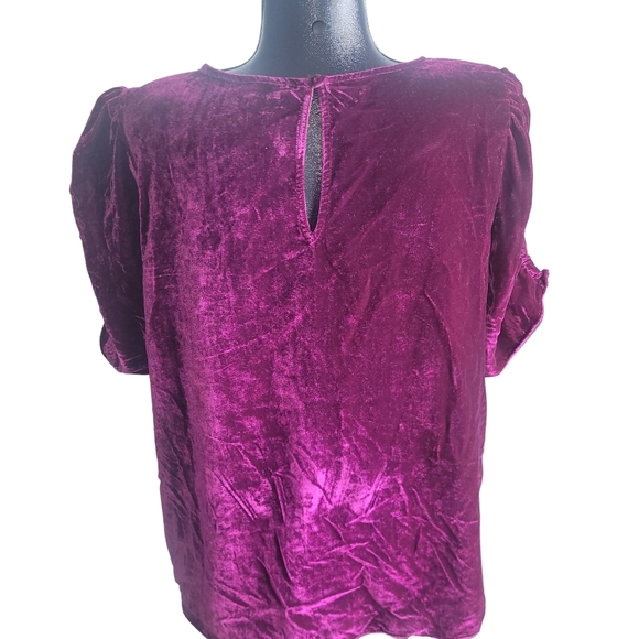 Torrid Plum Colored Velour Short Puff Sleeve Top 2 - Picture 6 of 7